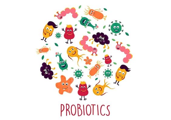 5 Reasons To Focus on Probiotics in 2024